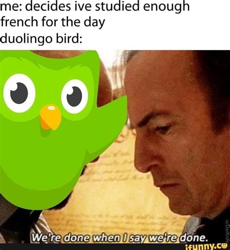 duolingo gif|30 Hilarious Duolingo Memes .
